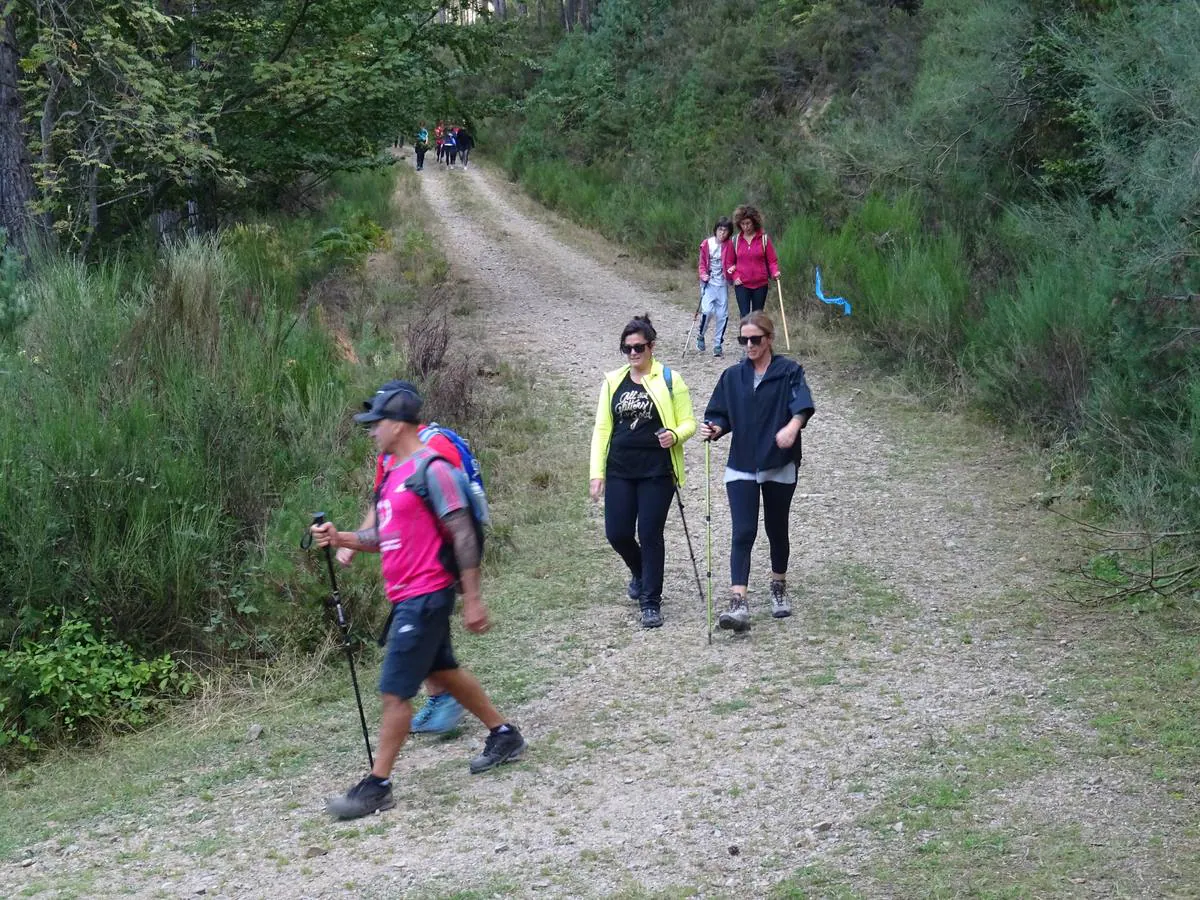 298 personas inscritas, de las que 225 tomaron la salida, y 2.982 euros recaudados. Son las cifras de la marcha senderista organizada por la peña Los Tímidos, 'Caminando, ¡por la vida!', celebrada el sábado en Ezcaray a beneficio de la Asociación Española Contra el Cáncer en La Rioja.