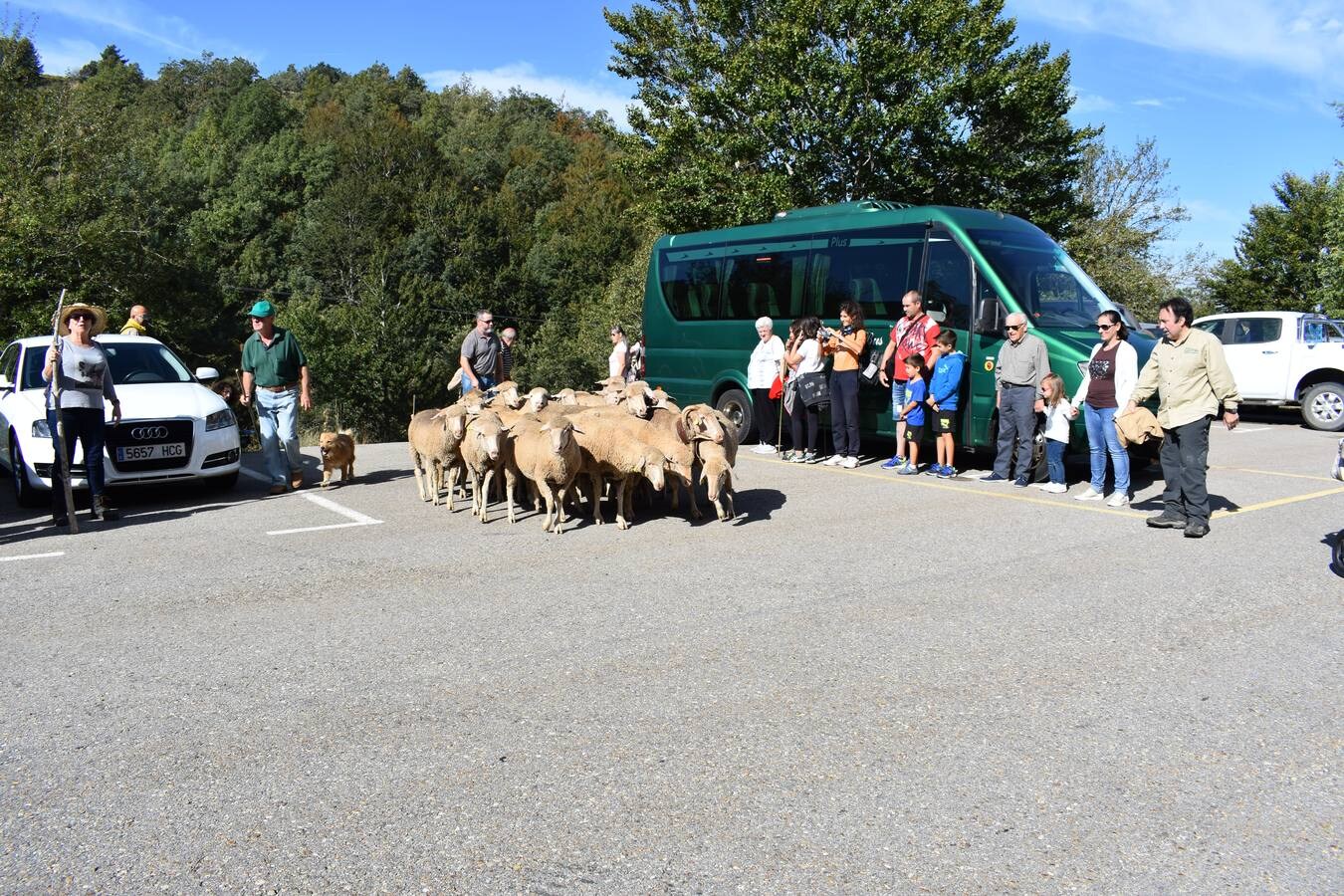 La Fiesta de la Trashumancia en la Venta de Piqueras reivindicó el legado pastoril de la comarca y lo divulgó entre los niños