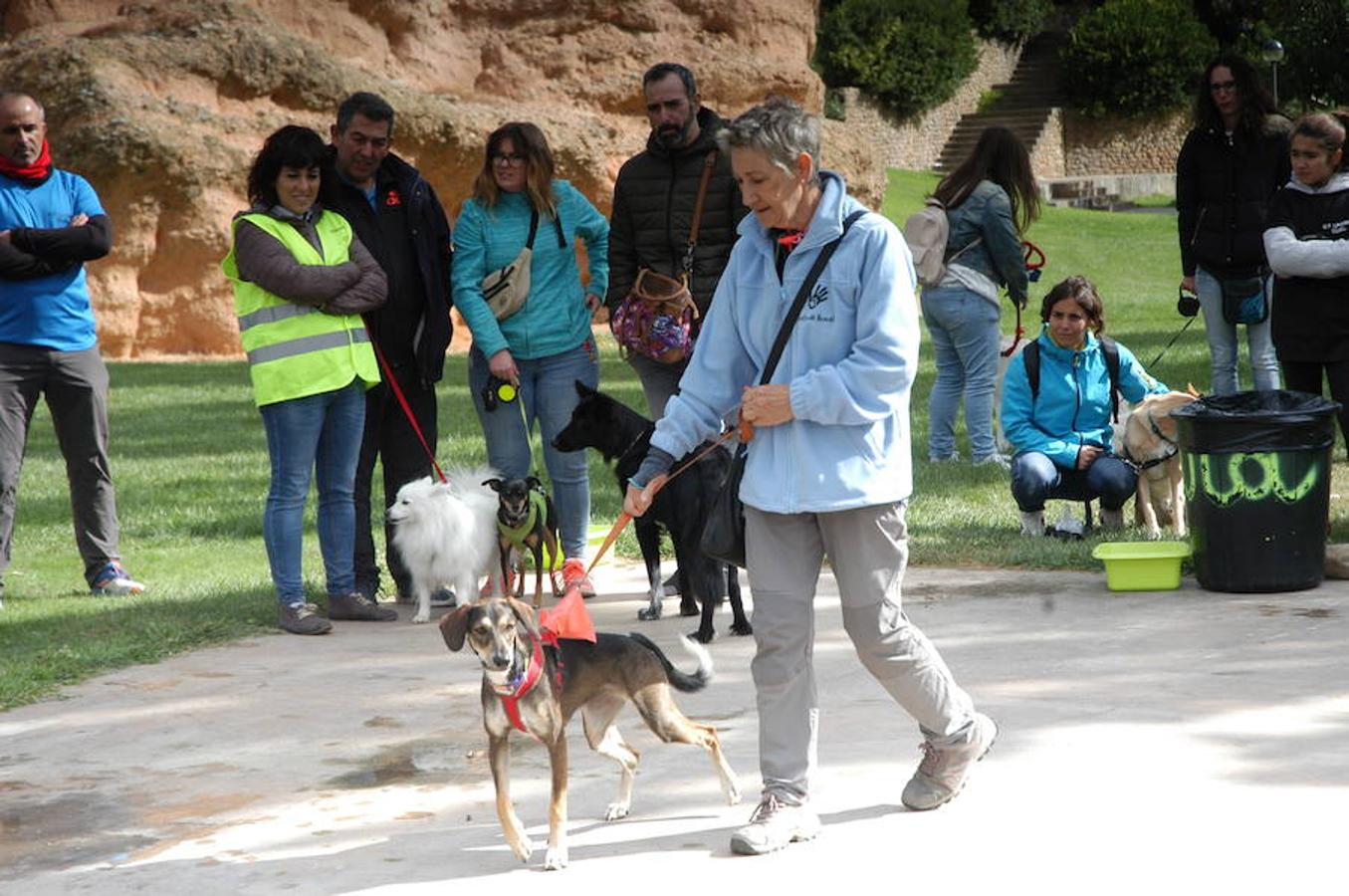 En Autol presumieron de mascota los orgullosos propietarios en una quedada divertida para todos.