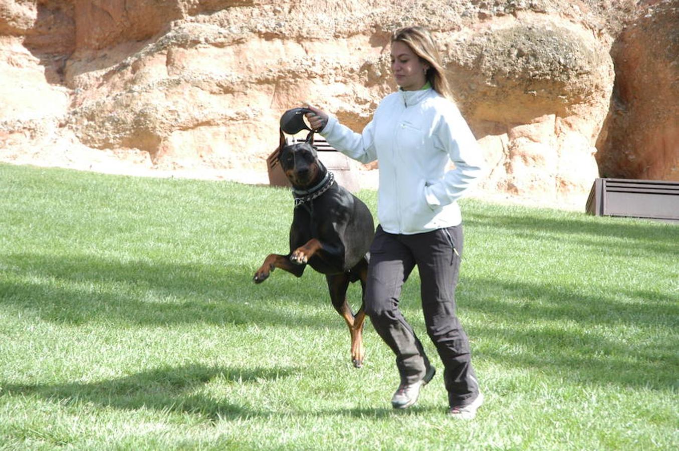 En Autol presumieron de mascota los orgullosos propietarios en una quedada divertida para todos.