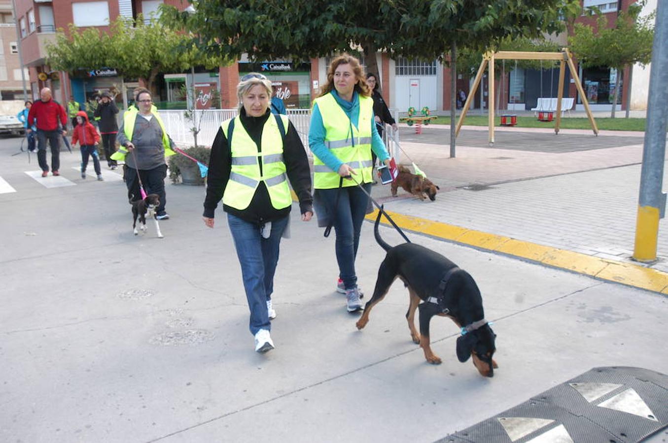 En Autol presumieron de mascota los orgullosos propietarios en una quedada divertida para todos.