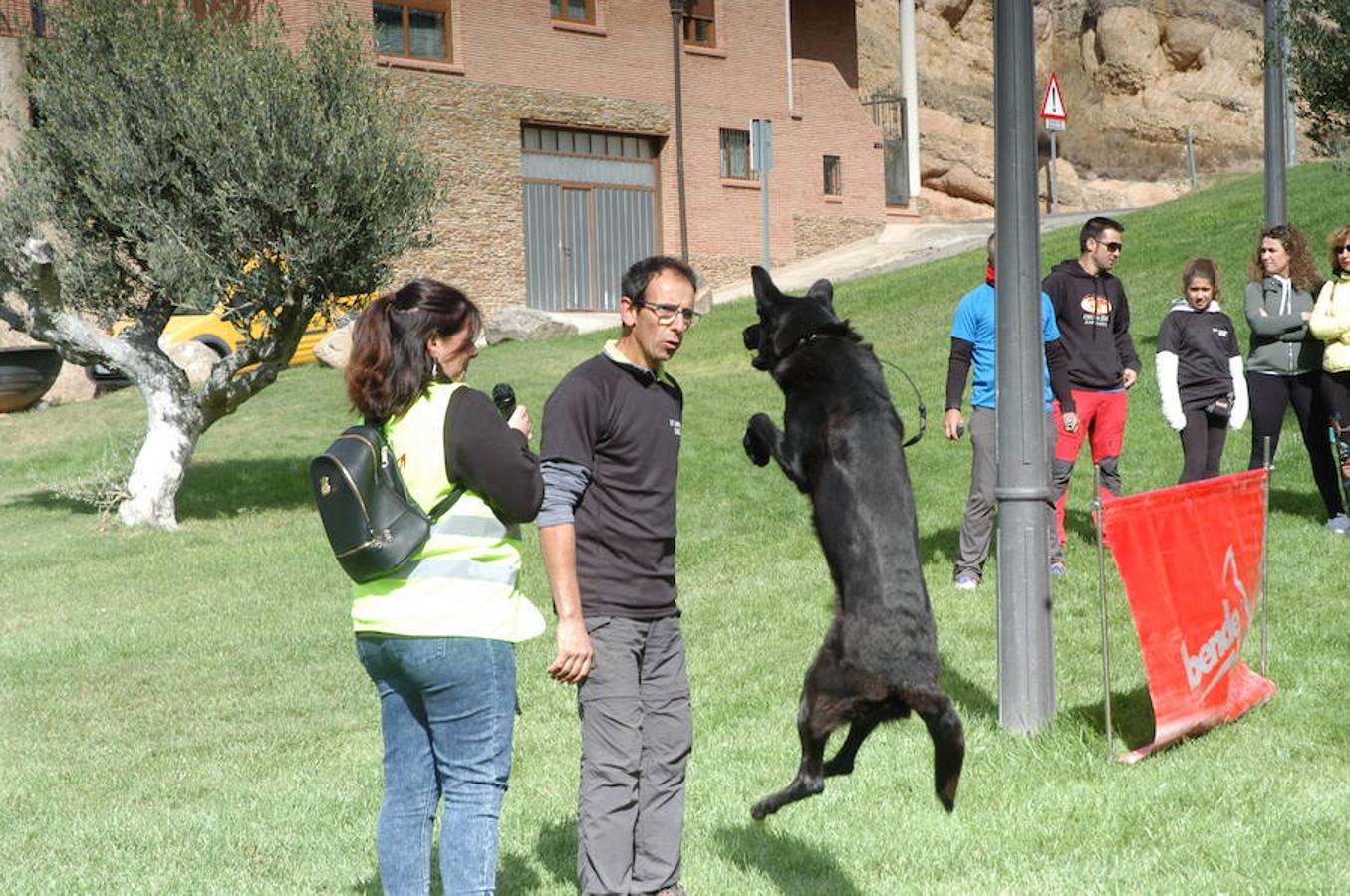 En Autol presumieron de mascota los orgullosos propietarios en una quedada divertida para todos.