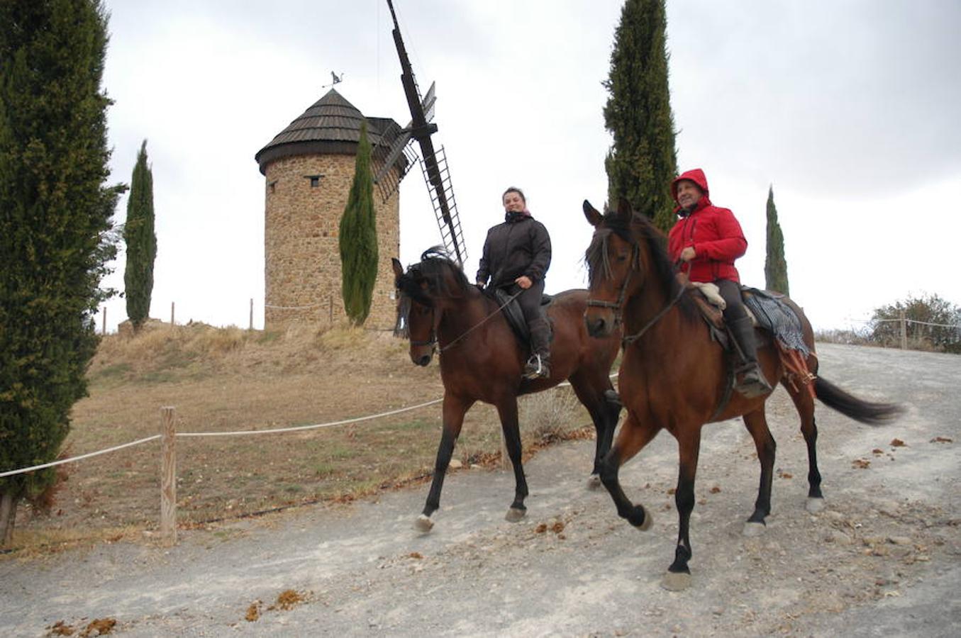 Imágenes correspondientes a la VII ruta ecuestre de Ocón celebrada el pasado domingo.