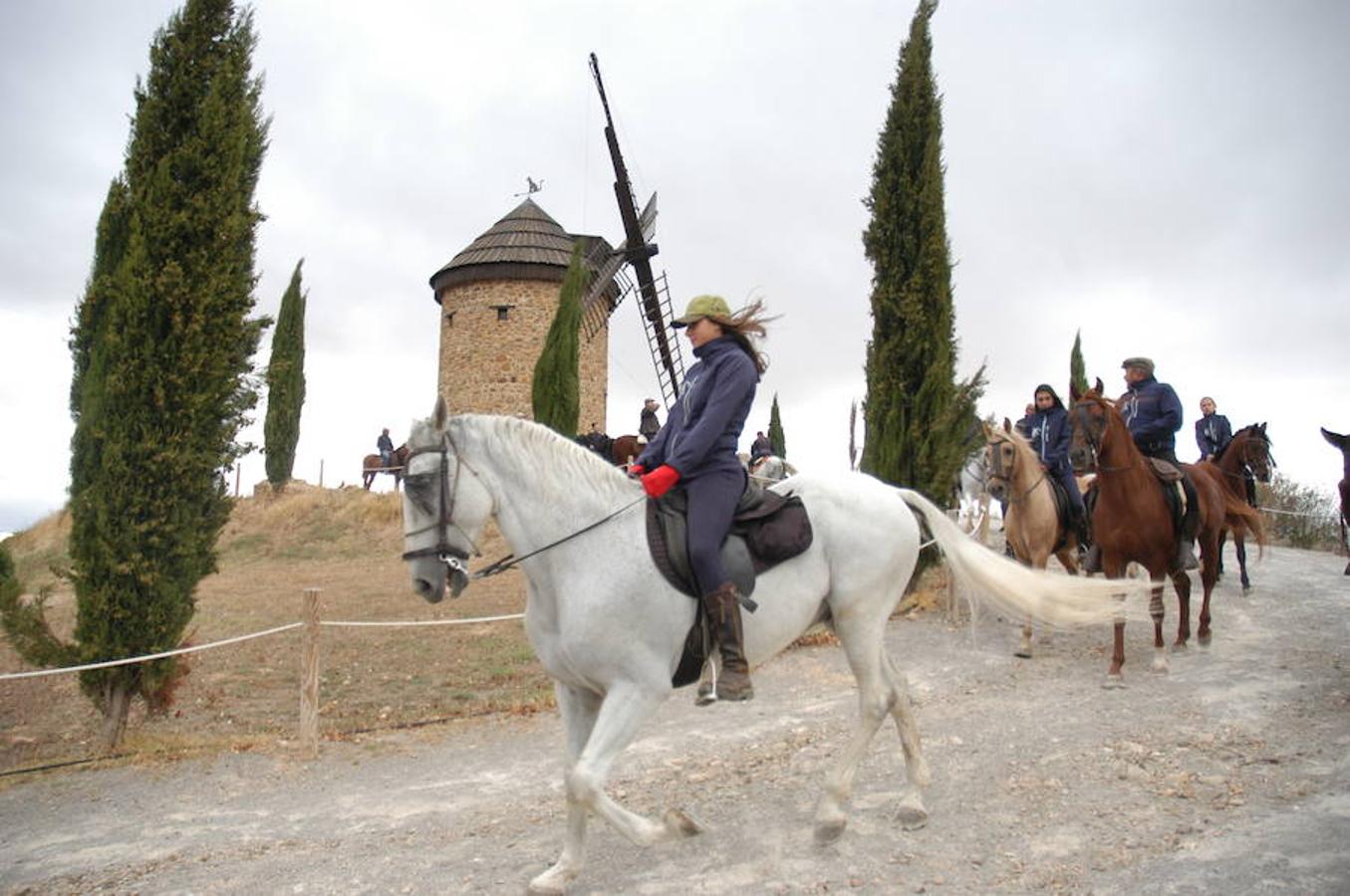 Imágenes correspondientes a la VII ruta ecuestre de Ocón celebrada el pasado domingo.