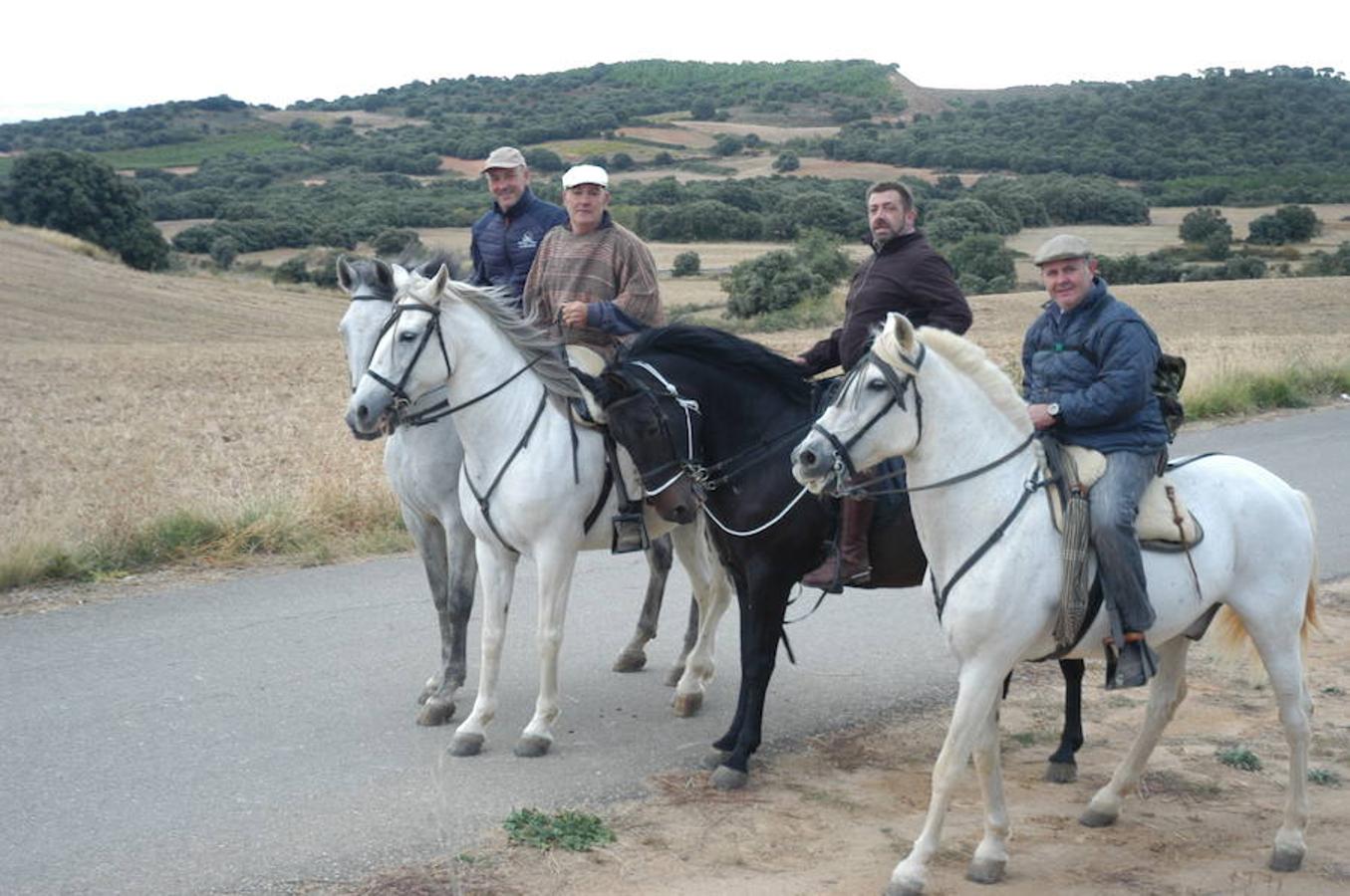 Imágenes correspondientes a la VII ruta ecuestre de Ocón celebrada el pasado domingo.