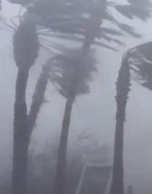 Imagen secundaria 2 - El monstruoso huracán &#039;Michael&#039; devasta Florida