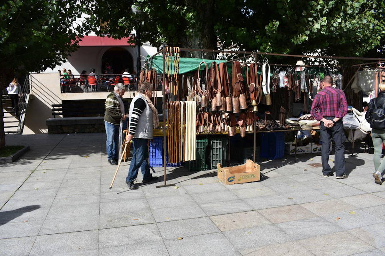 La Feria de Ganado Selecto del Camero Nuevo en Villoslada expone para su venta 30 cabezas de ganado bovino, entre sementales y novillas, procedentes de La Rioja, Castilla y León, País Vasco, Navarra y Aragón. La cita, organizada por la Asociación Ganadera del Alto Iregua en colaboración con la Consejería de Agricultura y Ganadería y el Ayuntamiento villosladense, tiene lugar en el frontón y en el paseo del Espolón.