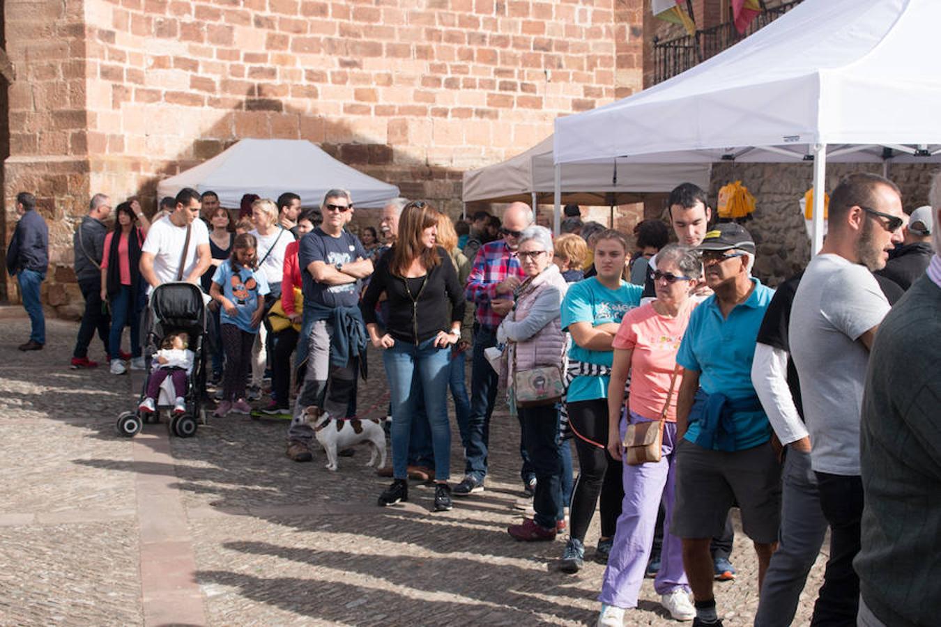 Ojacastro celebra hoy la segunda y última jornada de su feria de ganado y de artesanía agroalimentaria, que, 16 años después de echar a andar, sigue evidenciando su encaje y tirón dentro del 'puente' festivo del Pilar. 