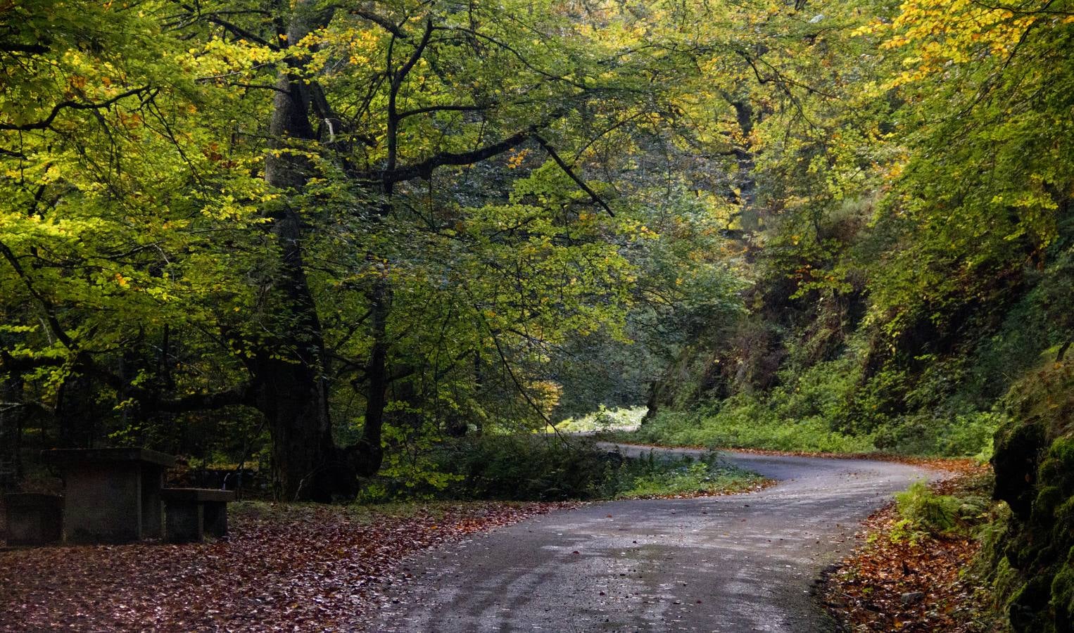 En esta época del año el monte riojano exhibe la transformación de los tonos verdes a los ocres y rojijzos. Unas imágenes evocadoras y muy bellas que animan al paseo.