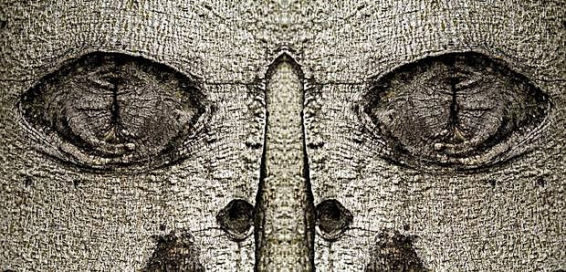 Una de las piezas de la exposición. 