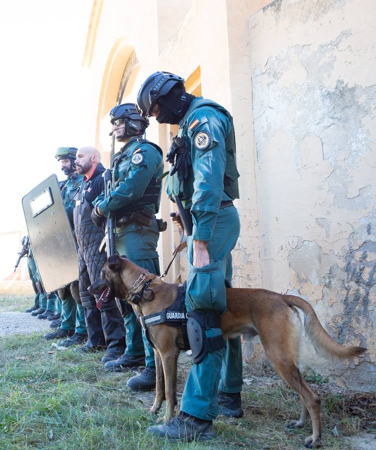 El Grupo de Acción Rápida (GAR) de la Guardia Civil y la Gendarmería Francesa están desarrollano unas jornadas prácticas en Logroño para implementar un nuevo sistema de detección de explosivos con perros en grandes concentraciones de personas, como eventos deportivos o musicales.