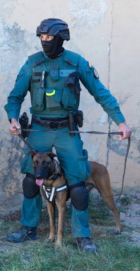 El Grupo de Acción Rápida (GAR) de la Guardia Civil y la Gendarmería Francesa están desarrollano unas jornadas prácticas en Logroño para implementar un nuevo sistema de detección de explosivos con perros en grandes concentraciones de personas, como eventos deportivos o musicales.