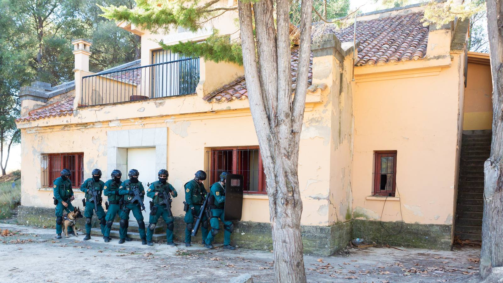 El Grupo de Acción Rápida (GAR) de la Guardia Civil y la Gendarmería Francesa están desarrollano unas jornadas prácticas en Logroño para implementar un nuevo sistema de detección de explosivos con perros en grandes concentraciones de personas, como eventos deportivos o musicales.