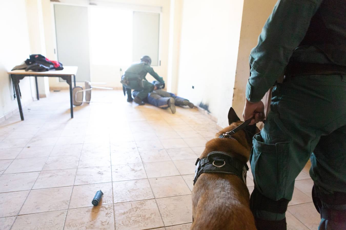 El Grupo de Acción Rápida (GAR) de la Guardia Civil y la Gendarmería Francesa están desarrollano unas jornadas prácticas en Logroño para implementar un nuevo sistema de detección de explosivos con perros en grandes concentraciones de personas, como eventos deportivos o musicales.