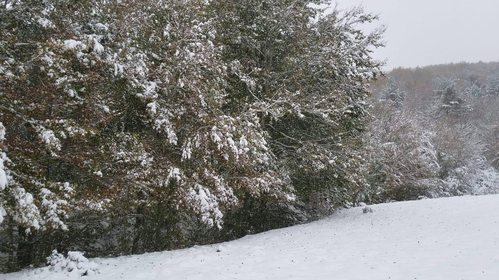 Nieve en Ajamil.