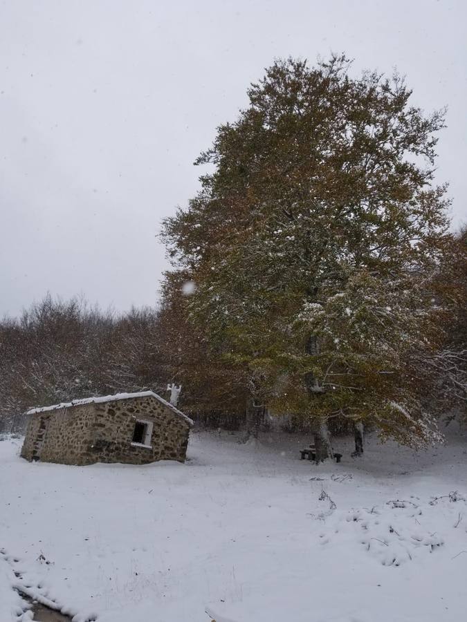 Nieve en Ajamil.