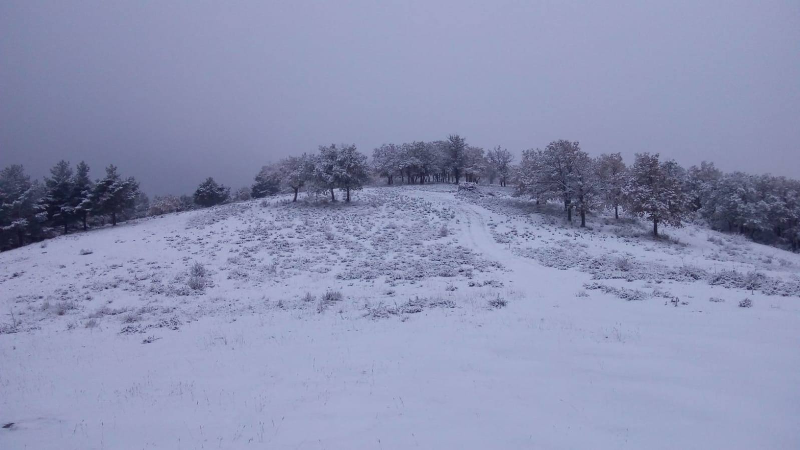 Nieve en Laguna de Cameros.