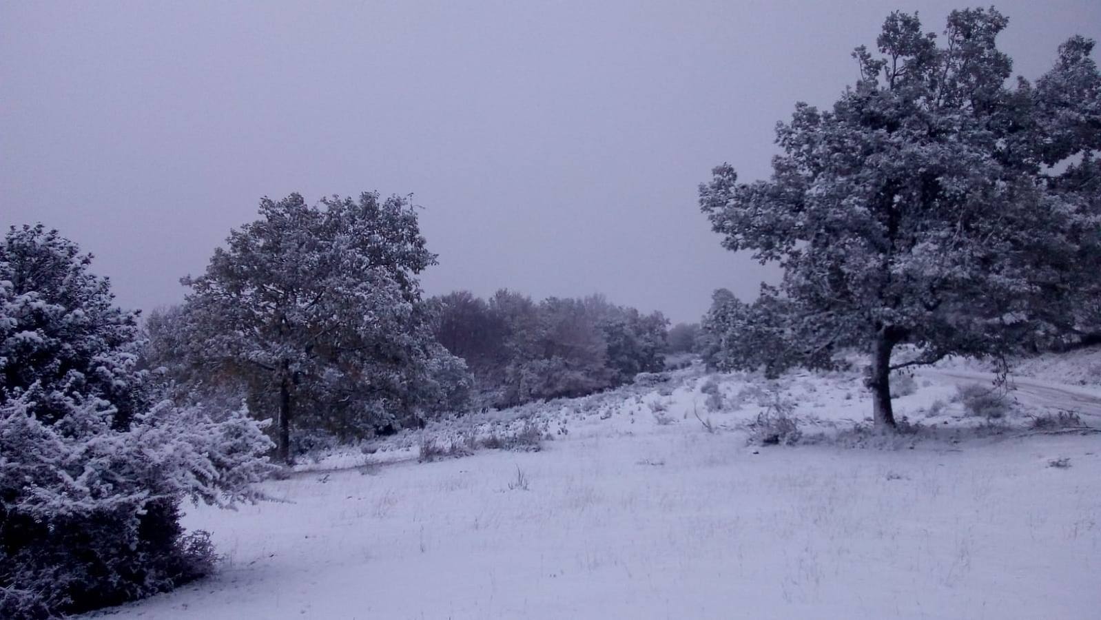 Nieve en Laguna de Cameros.