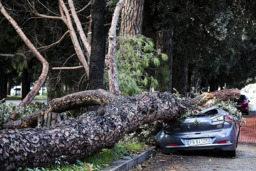 Nueve personas han fallecido en Italia a causa del temporal de fuertes vientos y lluvias torrenciales que mantiene en alerta a varias regiones del país, después de la caída de árboles y el desbordamiento de algunos ríos, según los medios italianos.