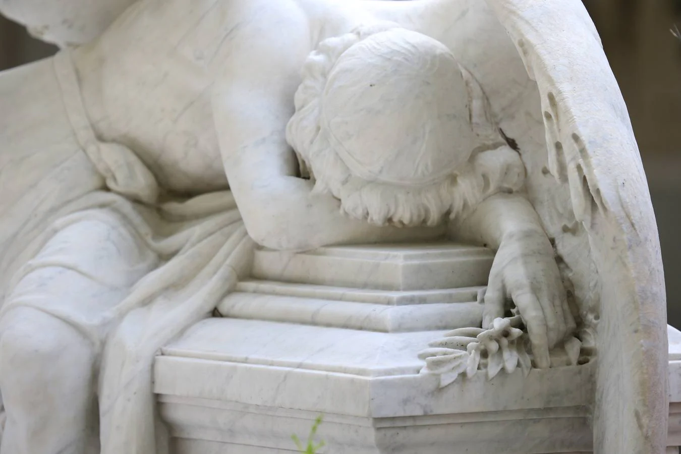 El cementerio de Logroño ha recibido decenas de visitas con motivo del Día de Todos los Santos.