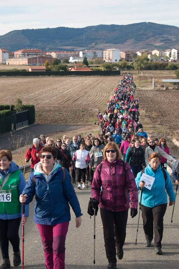 La iniciativa 'En marcha por la vida' ha reunido unas 650 personas para salir de paseo en una iniciativa organizada por la Asociación Española Contra el Cáncer de La Rioja, organizadora de la caminata que cubrió unos 12 kilómetros desde Santo Domingo de la Calzada y Hervías, y regreso. 