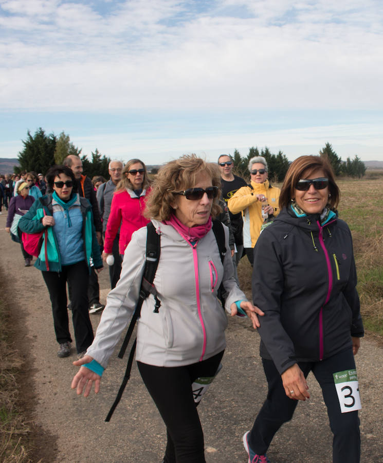 La iniciativa 'En marcha por la vida' ha reunido unas 650 personas para salir de paseo en una iniciativa organizada por la Asociación Española Contra el Cáncer de La Rioja, organizadora de la caminata que cubrió unos 12 kilómetros desde Santo Domingo de la Calzada y Hervías, y regreso. 