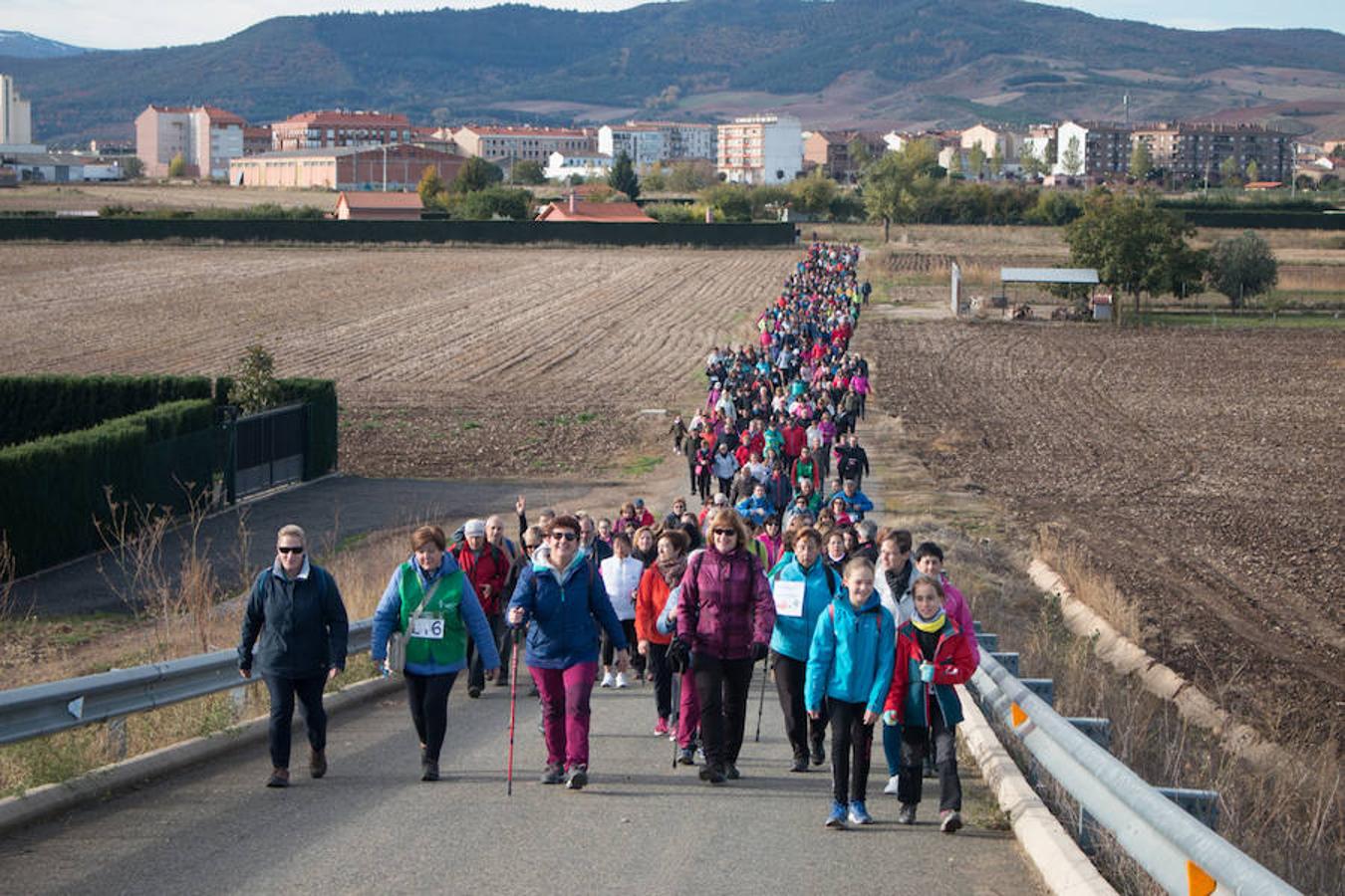 La iniciativa 'En marcha por la vida' ha reunido unas 650 personas para salir de paseo en una iniciativa organizada por la Asociación Española Contra el Cáncer de La Rioja, organizadora de la caminata que cubrió unos 12 kilómetros desde Santo Domingo de la Calzada y Hervías, y regreso. 