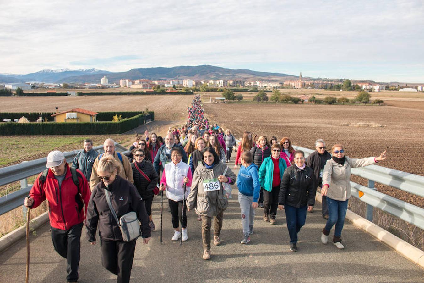 La iniciativa 'En marcha por la vida' ha reunido unas 650 personas para salir de paseo en una iniciativa organizada por la Asociación Española Contra el Cáncer de La Rioja, organizadora de la caminata que cubrió unos 12 kilómetros desde Santo Domingo de la Calzada y Hervías, y regreso. 