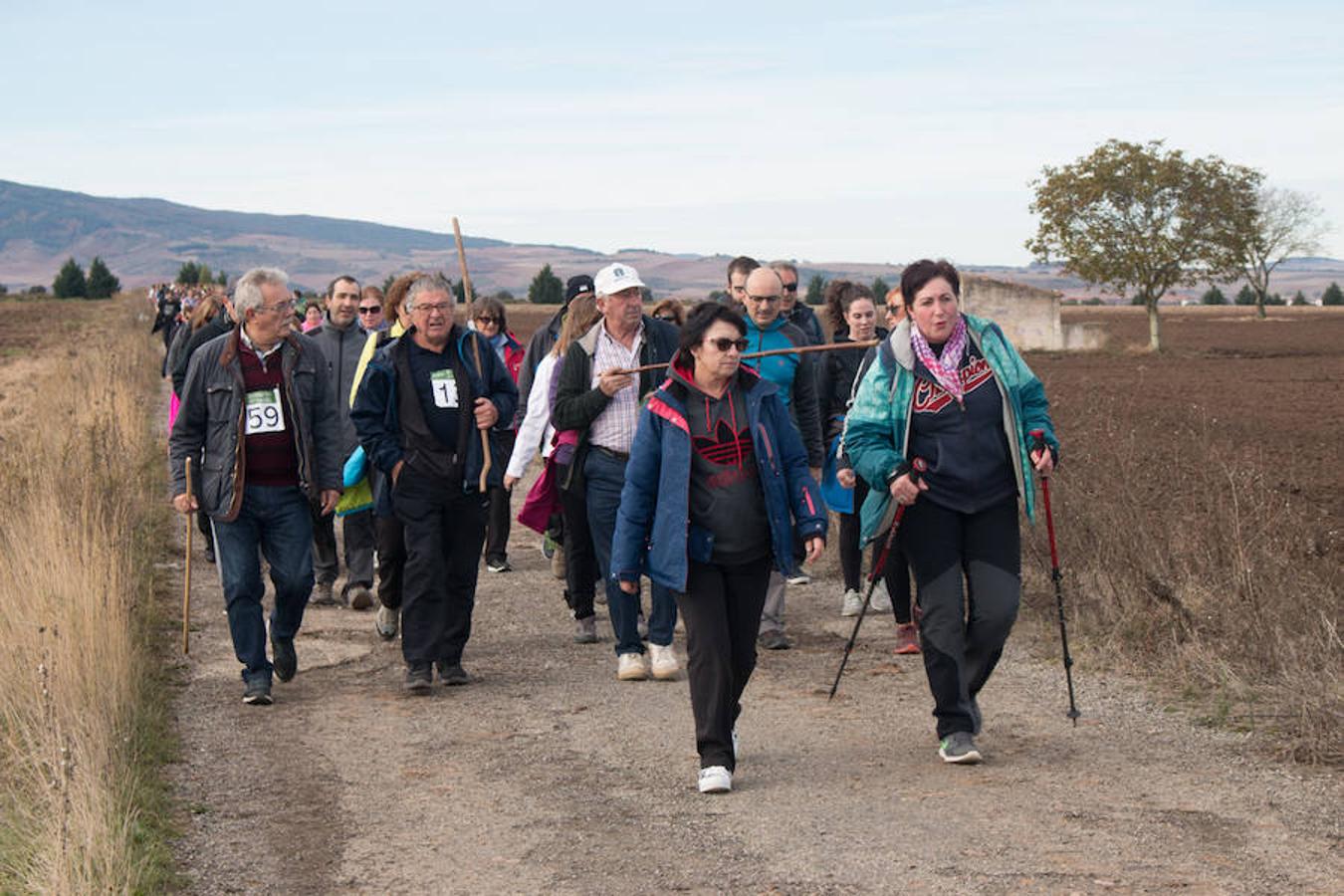 La iniciativa 'En marcha por la vida' ha reunido unas 650 personas para salir de paseo en una iniciativa organizada por la Asociación Española Contra el Cáncer de La Rioja, organizadora de la caminata que cubrió unos 12 kilómetros desde Santo Domingo de la Calzada y Hervías, y regreso. 