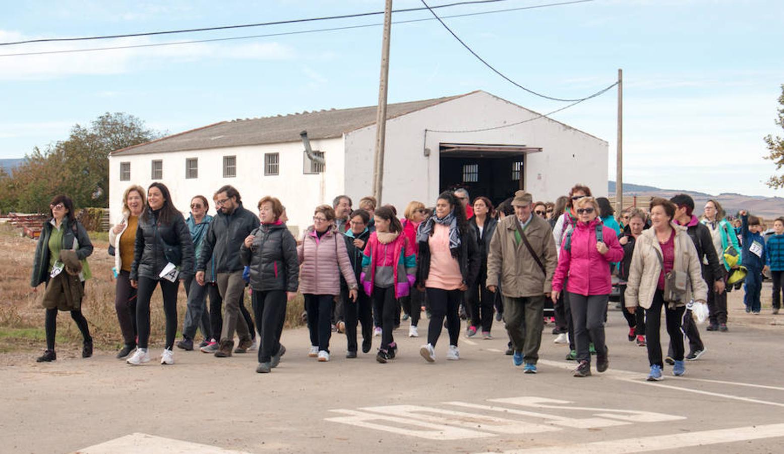 La iniciativa 'En marcha por la vida' ha reunido unas 650 personas para salir de paseo en una iniciativa organizada por la Asociación Española Contra el Cáncer de La Rioja, organizadora de la caminata que cubrió unos 12 kilómetros desde Santo Domingo de la Calzada y Hervías, y regreso. 