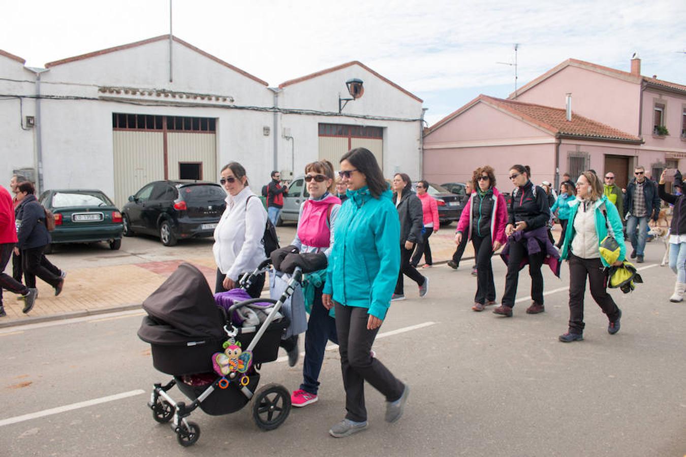 La iniciativa 'En marcha por la vida' ha reunido unas 650 personas para salir de paseo en una iniciativa organizada por la Asociación Española Contra el Cáncer de La Rioja, organizadora de la caminata que cubrió unos 12 kilómetros desde Santo Domingo de la Calzada y Hervías, y regreso. 