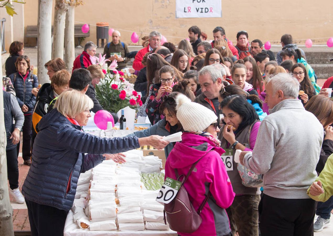 La iniciativa 'En marcha por la vida' ha reunido unas 650 personas para salir de paseo en una iniciativa organizada por la Asociación Española Contra el Cáncer de La Rioja, organizadora de la caminata que cubrió unos 12 kilómetros desde Santo Domingo de la Calzada y Hervías, y regreso. 