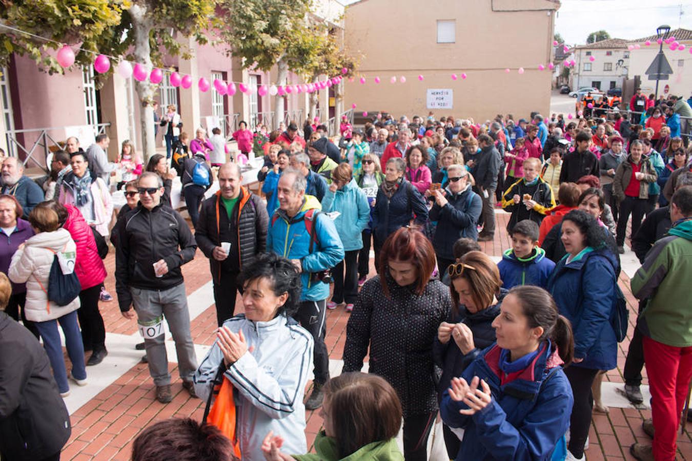 La iniciativa 'En marcha por la vida' ha reunido unas 650 personas para salir de paseo en una iniciativa organizada por la Asociación Española Contra el Cáncer de La Rioja, organizadora de la caminata que cubrió unos 12 kilómetros desde Santo Domingo de la Calzada y Hervías, y regreso. 