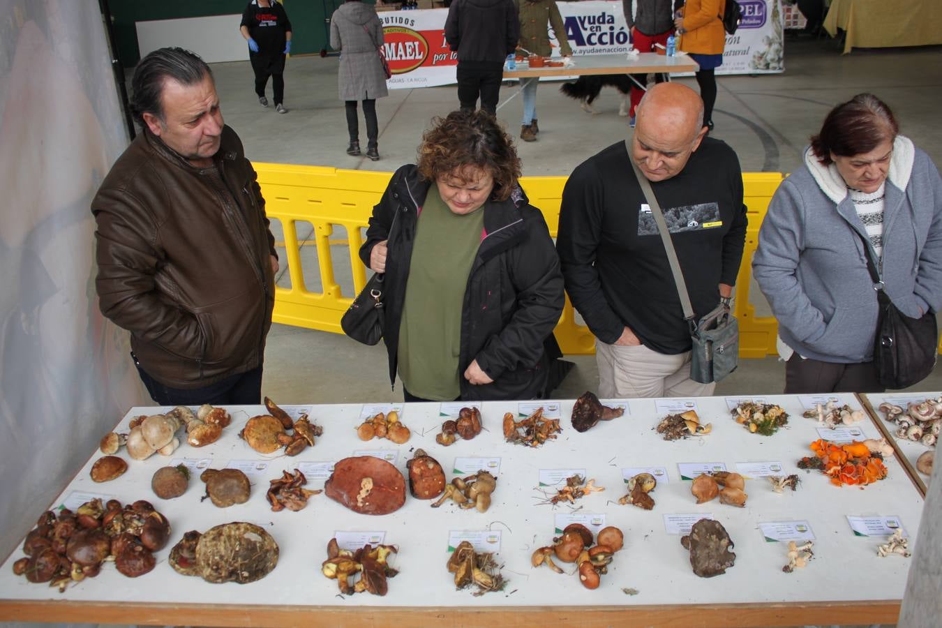 Fotos: XXVIII Jornadas Micologicas de Arnedillo