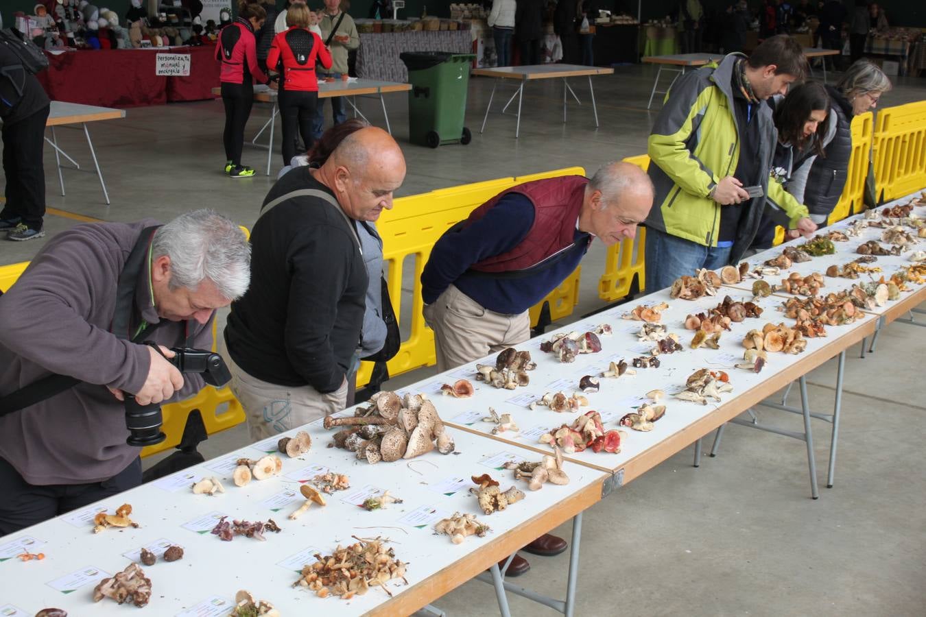 Fotos: XXVIII Jornadas Micologicas de Arnedillo