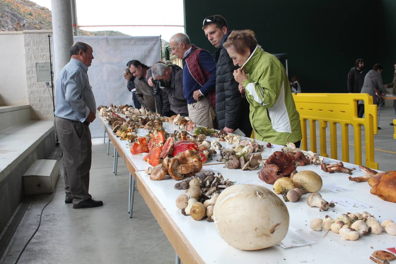 Fotos: XXVIII Jornadas Micologicas de Arnedillo