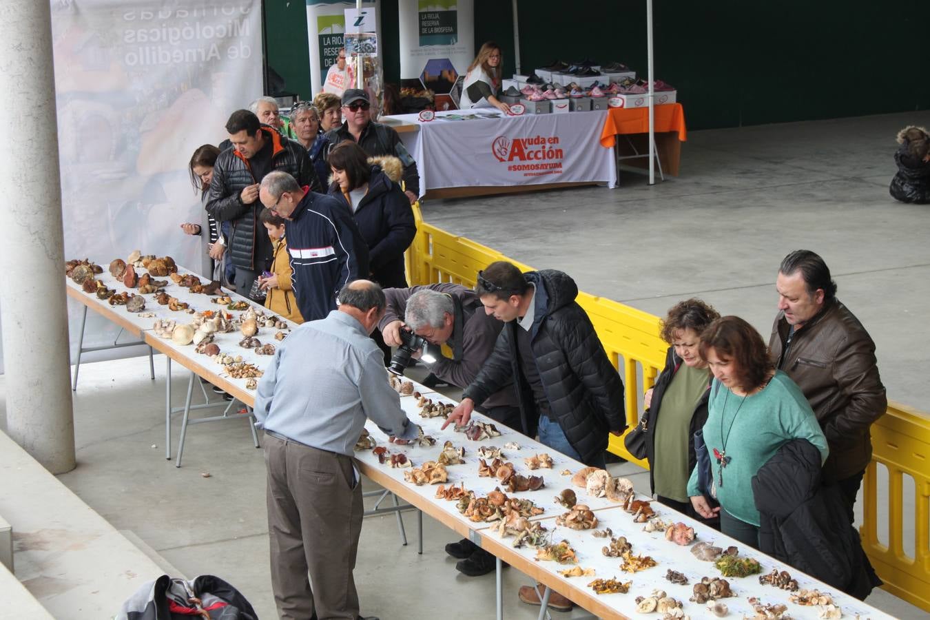 Fotos: XXVIII Jornadas Micologicas de Arnedillo