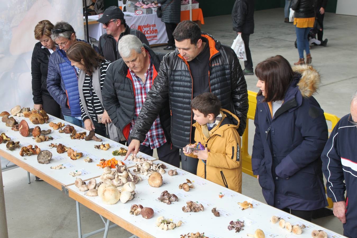 Fotos: XXVIII Jornadas Micologicas de Arnedillo