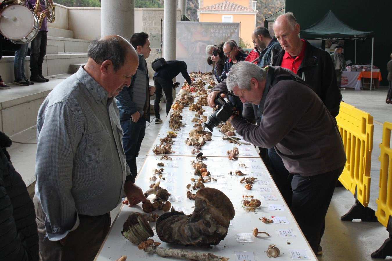 Fotos: XXVIII Jornadas Micologicas de Arnedillo