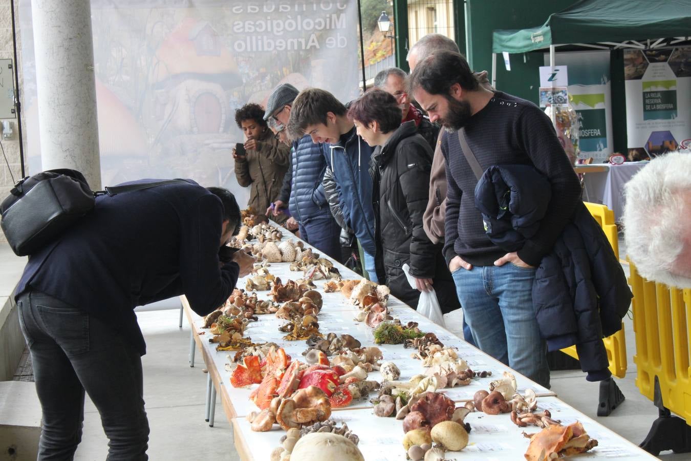 Fotos: XXVIII Jornadas Micologicas de Arnedillo