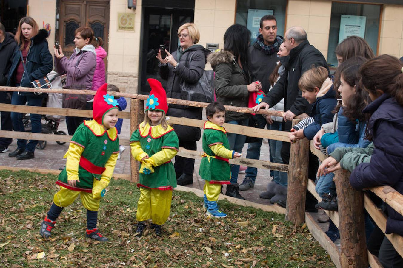 Imágenes de las XXVII Jornadas Micológicas, organizadas por la asociación Amigos de Ezcaray