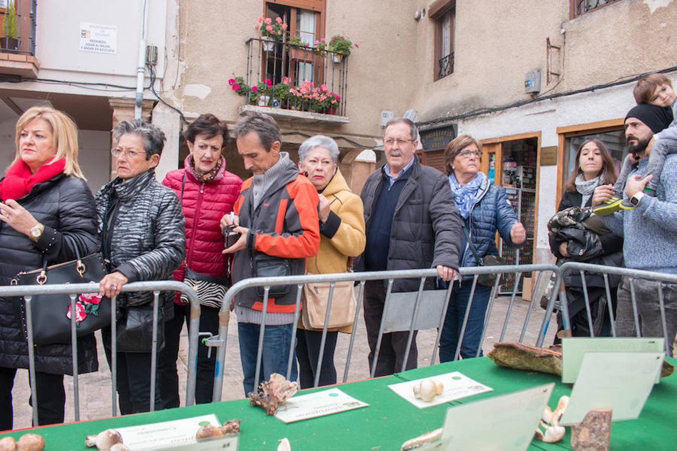 Imágenes de las XXVII Jornadas Micológicas, organizadas por la asociación Amigos de Ezcaray