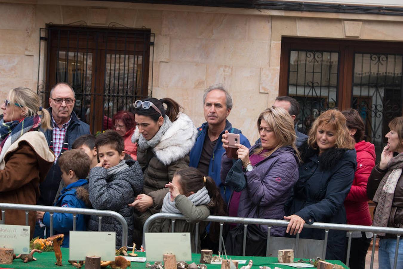 Imágenes de las XXVII Jornadas Micológicas, organizadas por la asociación Amigos de Ezcaray