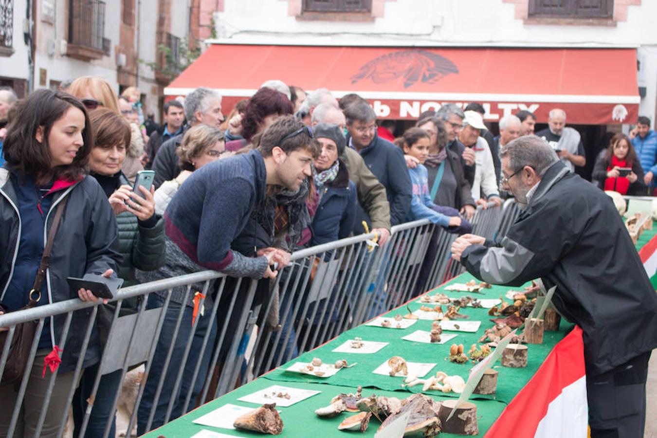 Imágenes de las XXVII Jornadas Micológicas, organizadas por la asociación Amigos de Ezcaray