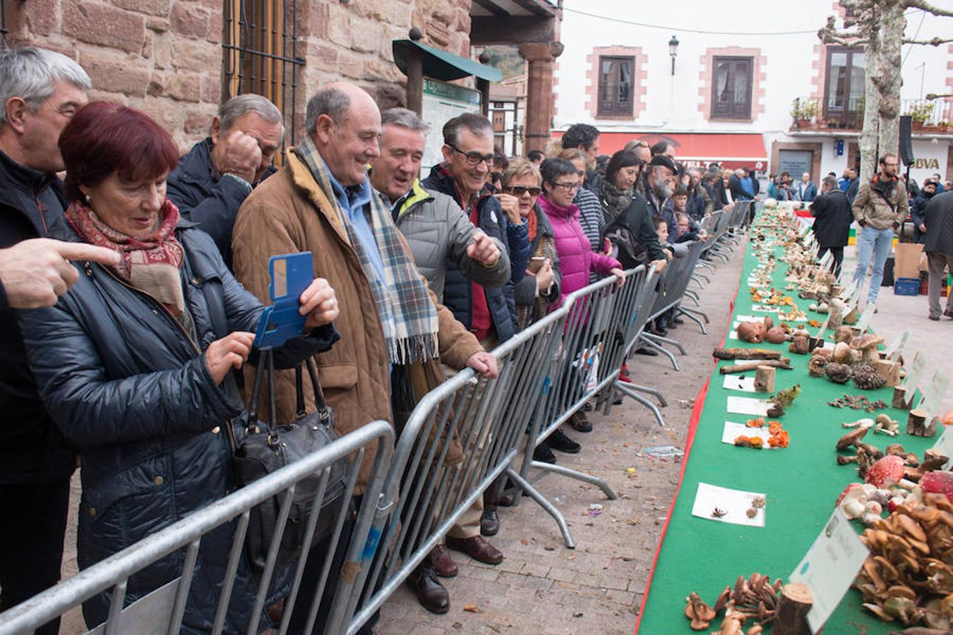 Imágenes de las XXVII Jornadas Micológicas, organizadas por la asociación Amigos de Ezcaray