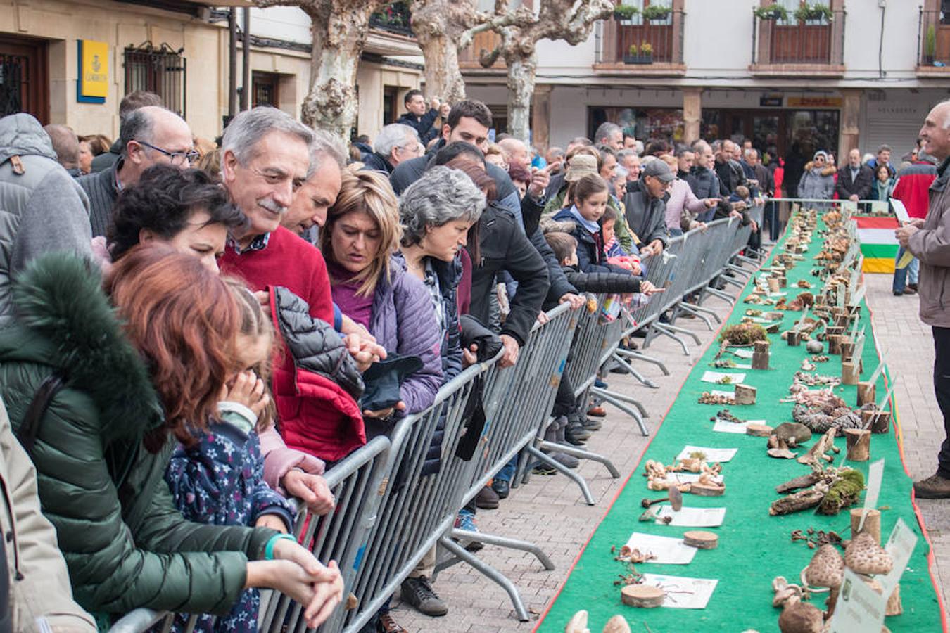 Imágenes de las XXVII Jornadas Micológicas, organizadas por la asociación Amigos de Ezcaray