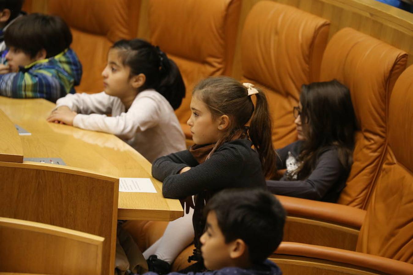 Un grupo de escolares de quinto de Primaria del Colegio Villapatro de Lardero han leído hoy, en el Parlamento de La Rioja, unos manifiestos, que previamente habían redactado junto a sus profesores, sobre cuatro derechos de la infancia en el acto del Día del Niño.