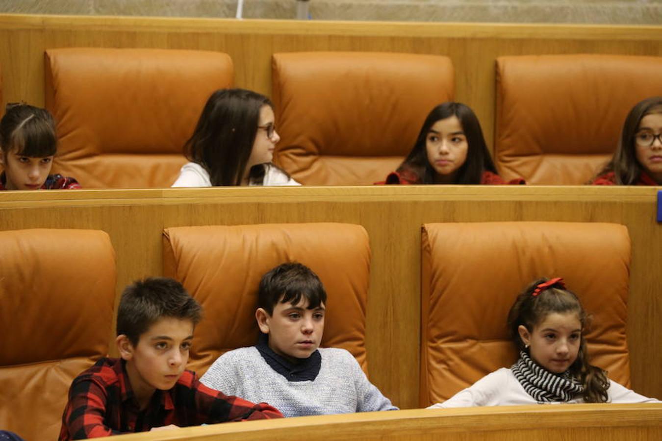 Un grupo de escolares de quinto de Primaria del Colegio Villapatro de Lardero han leído hoy, en el Parlamento de La Rioja, unos manifiestos, que previamente habían redactado junto a sus profesores, sobre cuatro derechos de la infancia en el acto del Día del Niño.