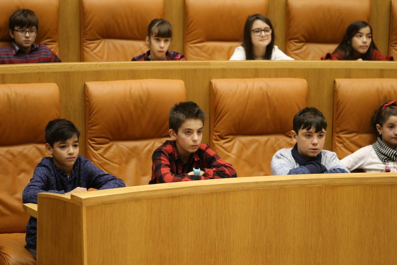 Un grupo de escolares de quinto de Primaria del Colegio Villapatro de Lardero han leído hoy, en el Parlamento de La Rioja, unos manifiestos, que previamente habían redactado junto a sus profesores, sobre cuatro derechos de la infancia en el acto del Día del Niño.