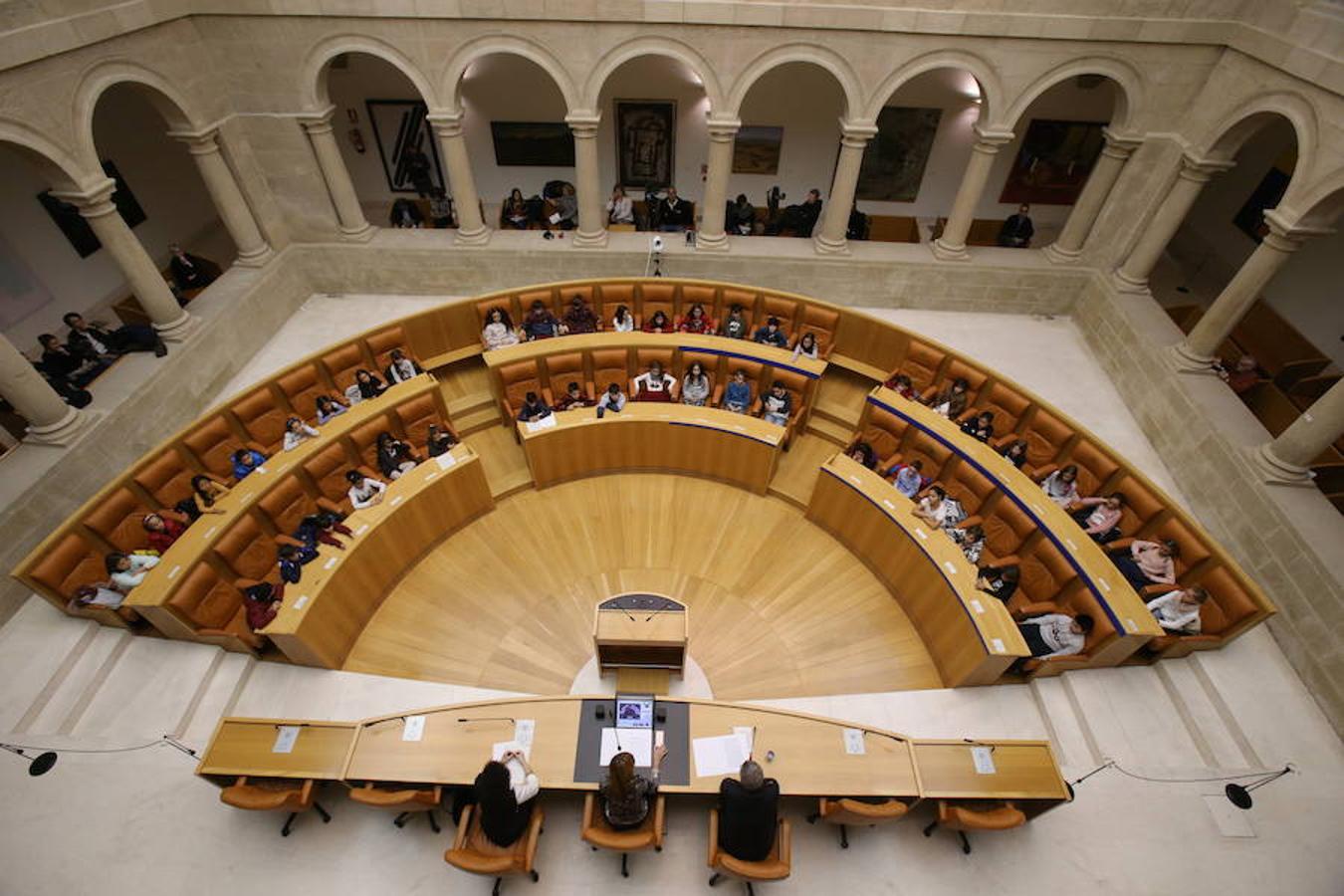 Un grupo de escolares de quinto de Primaria del Colegio Villapatro de Lardero han leído hoy, en el Parlamento de La Rioja, unos manifiestos, que previamente habían redactado junto a sus profesores, sobre cuatro derechos de la infancia en el acto del Día del Niño.